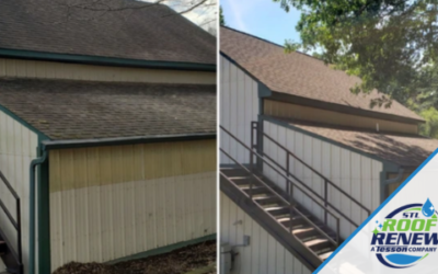 Critical Signs You Need to Renew or Replace Your Roof