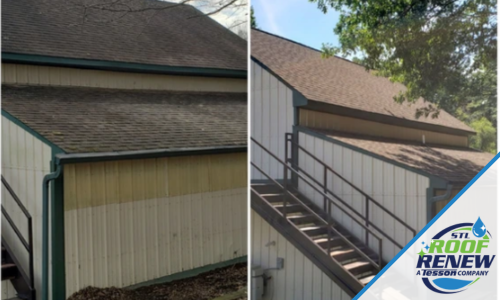 Critical Signs You Need to Renew or Replace Your Roof