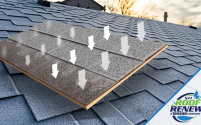 The Science Behind STL Roof Renew