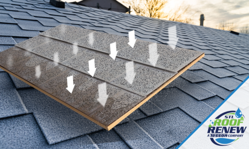 The Science Behind STL Roof Renew